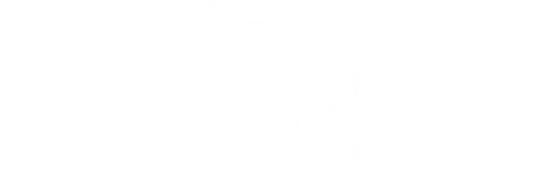 Transitions Gen S